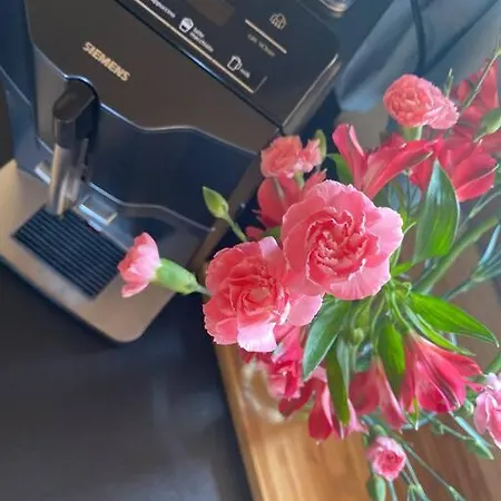 Semesterbostad Little House