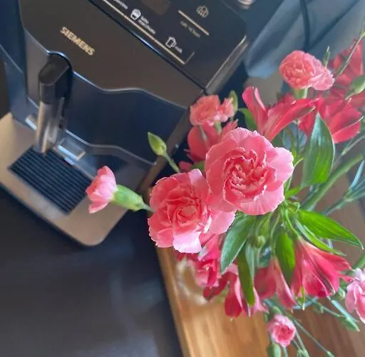 度假居 Little House